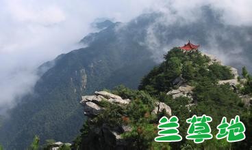 ®ɽ ®ɽ ɢ 102421ny8t7aaa0farg2td