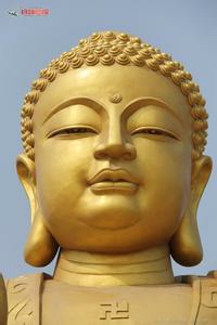 ʫ  ִʫ 095847qz2w9wzpz22i2nnz