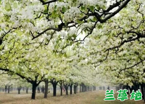 �滨 �滨 ���Ͻ��� 225448sdllc6cedlcltmtd