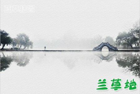 ݸͷ   ݸͷ Ͻ 224113ia1f00osolax10fl