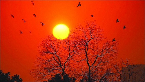 һĨϦ һĨ,Ϧ ɢ 205057smjkcqqkrkh2qlwk