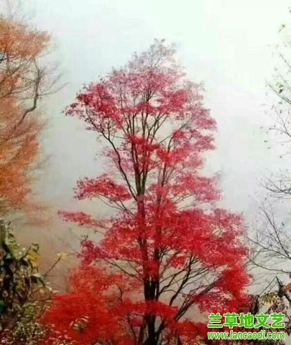   Ͻ 200618j22682bpz28dbpbx