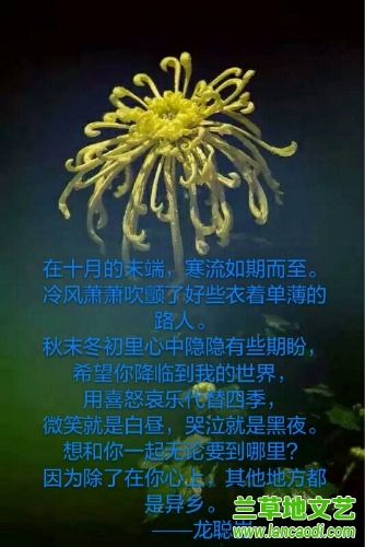 ˼  Ͻ 052730zylqxvd0x4i0rvp1