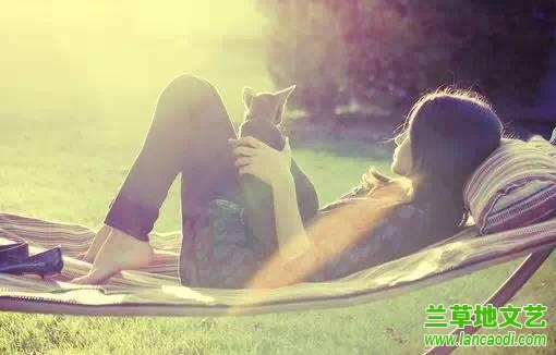 ɢ  ˻延NJ/  ,ɢ,,,延 ѧ 202841n688zm0t68dtmv50