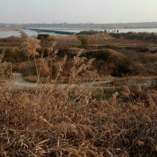 磨NJ/ , ѧ 113227nnr10mh8nw1vlzmy