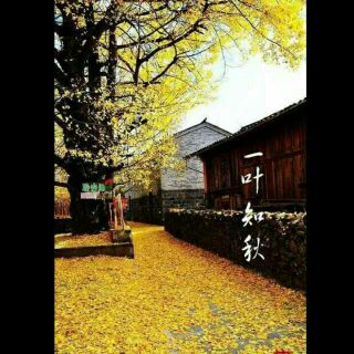 ӻʱNJ/  ѧ 113833u493shto31ovxnvl