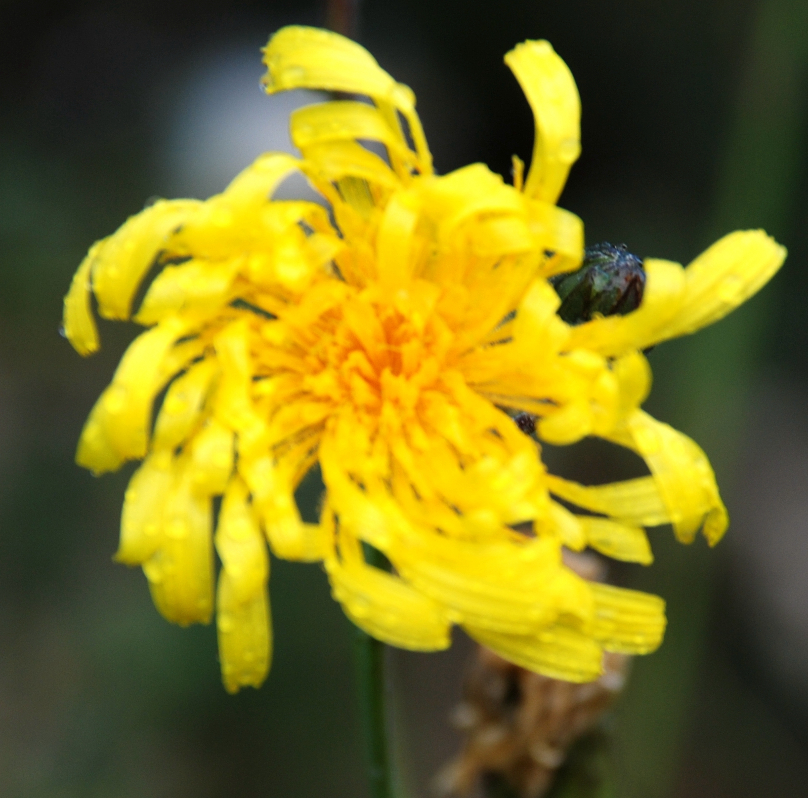 һ֦ һ֦ ִʫ 105551qmsobsqbj0o2bj3t