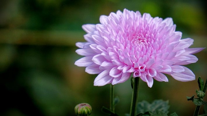 ջӣNJ/ ջ,, ѧ 155931rv94lg4a8vtfgajv