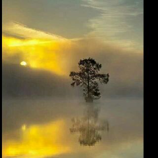 һĨ¹̣NJ/ һĨ,¹,, ѧ 094315d0fj16lbt6ztwkmt