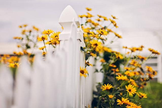 װˣNJ/ װ,װ,װ, ѧ 170853wnh21izngk1iiu0b