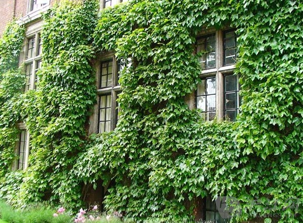 ƬɽNJ/ , ѧ 164855ftmnw4tvh677t6ne