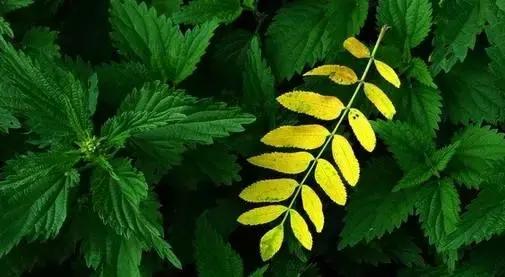 ܿˣûб۵ȨNJ/ ܿ,û,,Ȩ, ѧ 173308kxpacjao1ksvjack