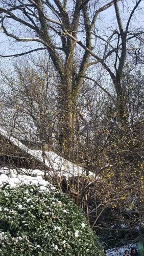 ѩ޻/ɬӰ  Ͻ 092254x08vo8n8oaa8410o