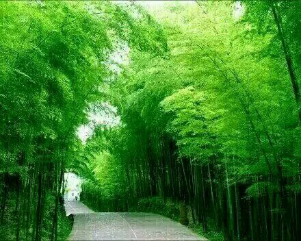 ֮(NJ/)  ѧ 181215aun70hhuny9ycwwe