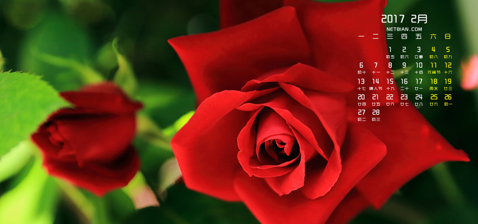 ׸˽׵ġǡ ׸,˽ ִʫ 073626vbwib483ez5sat65