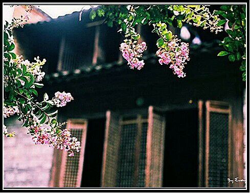 ڴ ڴ ѧ 163859c5sl1btppqxm52pt