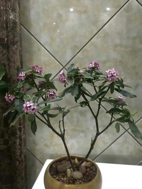 ǵ ,ǵ ѧ 061459mi8ll41qgvlvv406