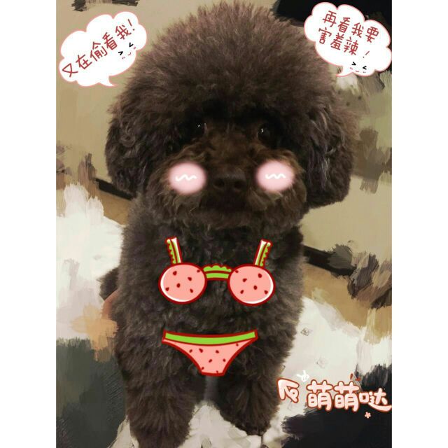 ҼСԲ  ѧ 111341jcr79avutyrxcqtv