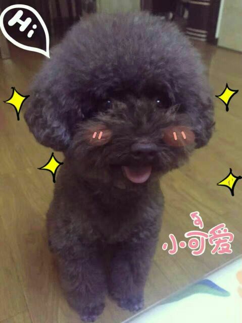 ҼСԲ  ѧ 111341memz5me7p7eeahth