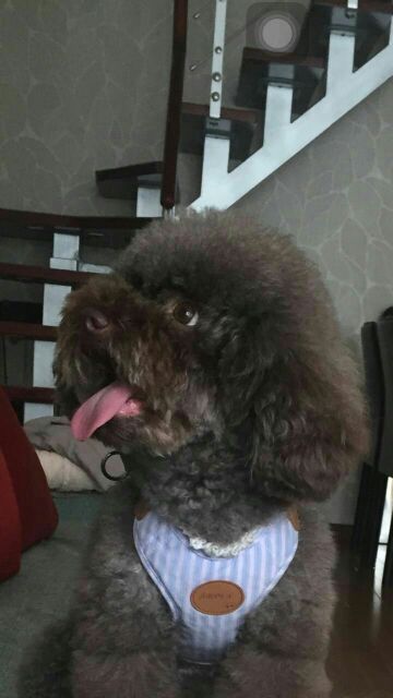 ҼСԲ  ѧ 111342esss741y1c313331