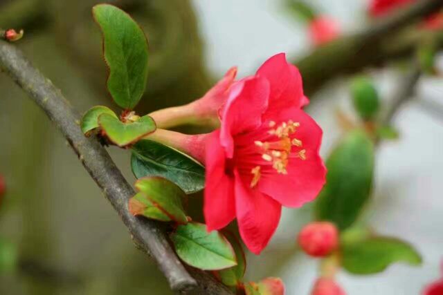 ֲʵһ ֲ,ʵ,,һ ѧ 105247ybdeb8fns5f5amxi