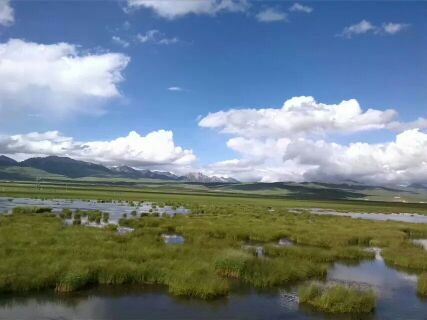 ˴˰ã ˴˰,, ѧ 092539sw3ry0lle0hxrwky