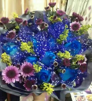 õʫ  ѧ 111537ibpubypzmpqdp1qz