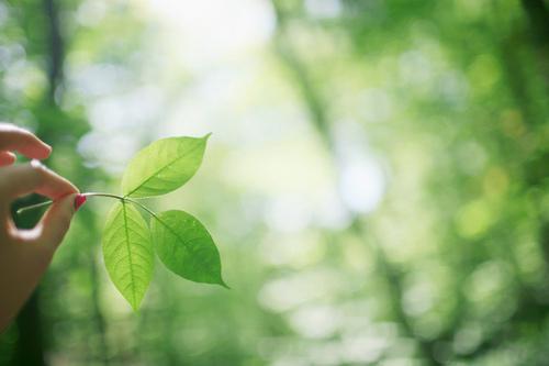 ռ , ɢ 163034qr707mmvrfw4f7o0