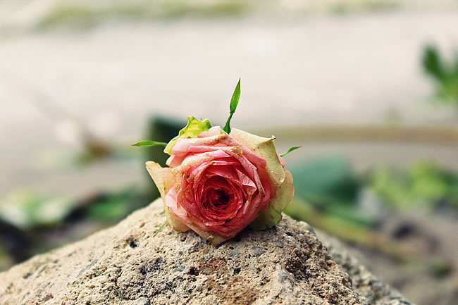 ϧ ϧ ִʫ 163409zxs1f09uhe0f01e7