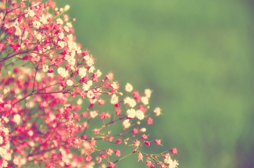 £ʫĴ ,,ʫ, ִʫ 164621firrfffsfmmjfhke