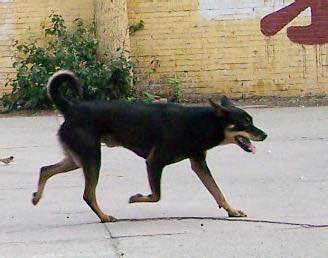 Զĺ㻹 ,,㻹, ѧ 164051jht1qd070dx1dbd7