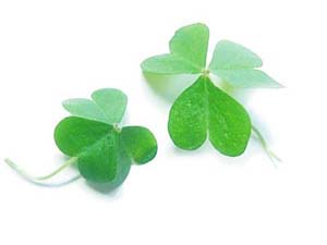   ѧ 224806z0cnknu0qykasayf