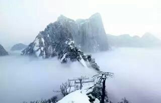 쳾ǧɣɽˮ 쳾,ǧ,ɽˮ ѧ 142515oxu16nky0g1vuxxu