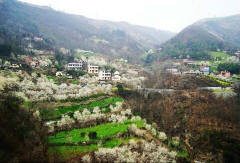 쳾ǧɣɽˮ 쳾,ǧ,ɽˮ ѧ 142516gdpiz0dg4y4bb1vg