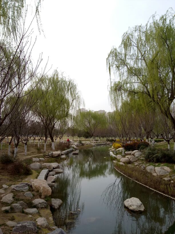 ͼ  ѧ 131954iynzag7py6agcd1d