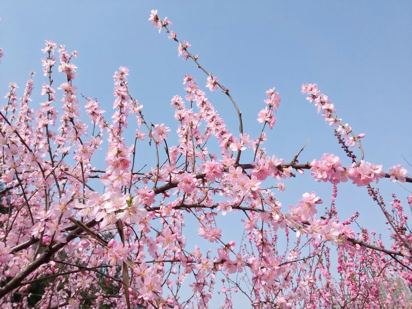 ͼ  ѧ 131954jxix0k5nxuvmxzlm