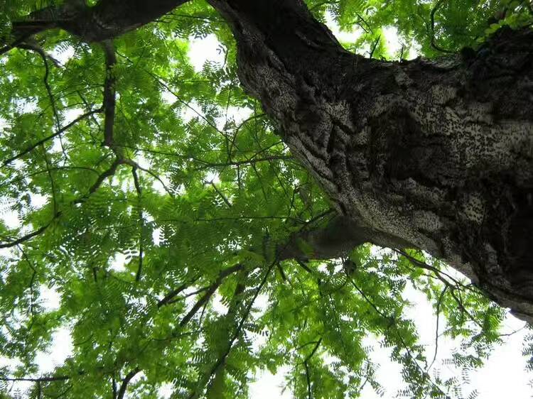  ,, ѧ 100317lm9zm1jn4pomz9mm