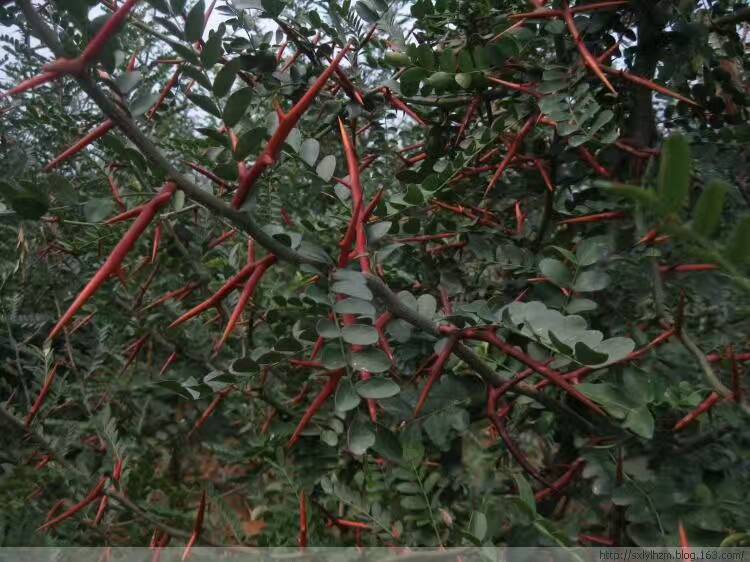  ,, ѧ 100340j1bqmcj5bclq5mlm