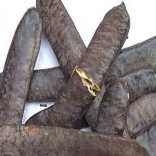  ,, ѧ 100355tcwppykcpskkslpk