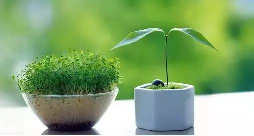 жû쵽 ж,,,, ɢ 215817r0yb2yo0j2roytwl