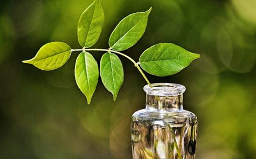 һŴģ³ʫ һ,,,³,ʫ ִʫ 090619nvdvch7ycdp3wvl7