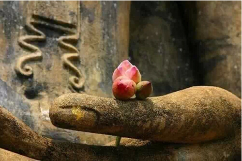 һ· ,,һ,· ѧ 155427jqg7o47c731s54to