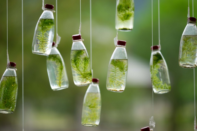   ִʫ 214542t48lpmaq6080qn88