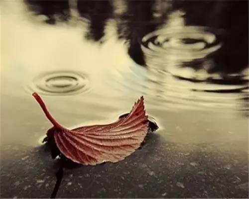 Ǵ鷳ͷ ,,鷳,ͷ ѧ 125554xjushybjazkzzkjk