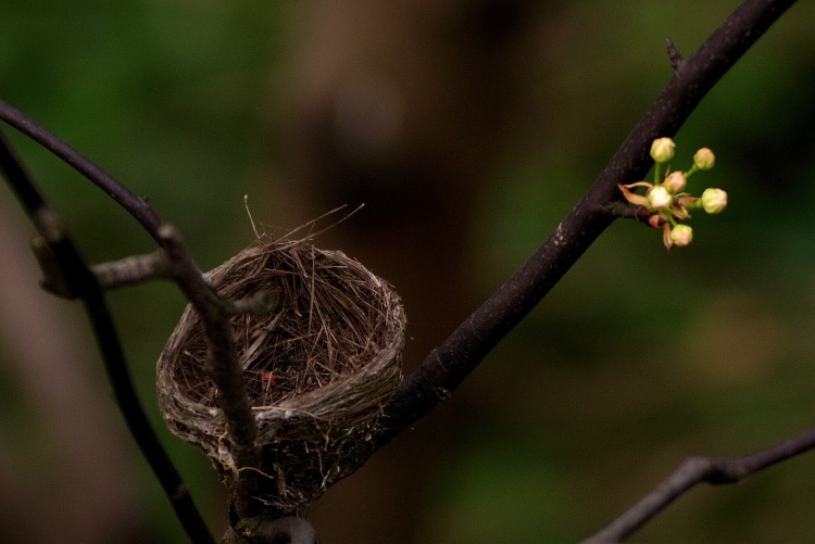 ˼ ,˼ ɢ 094401ugpm224h1gzcsjsn