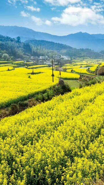   ѧ 195252nt2j5ze5u5ugvfsg