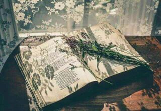 Ƿſ ,,ſ ѧ 062935uu1zfu11mues2feu