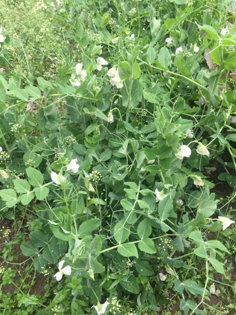 Ķһ ,,,, ѧ 165652j2ycxmd7ryufh726