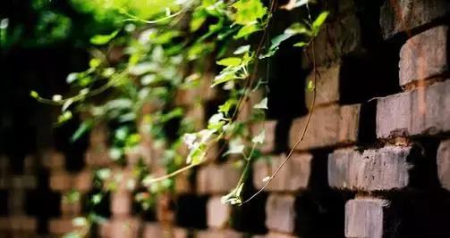 £˵еȰɢʫ ,,,˵,еȰ ִʫ 174959ssxuji2sj7rolnas