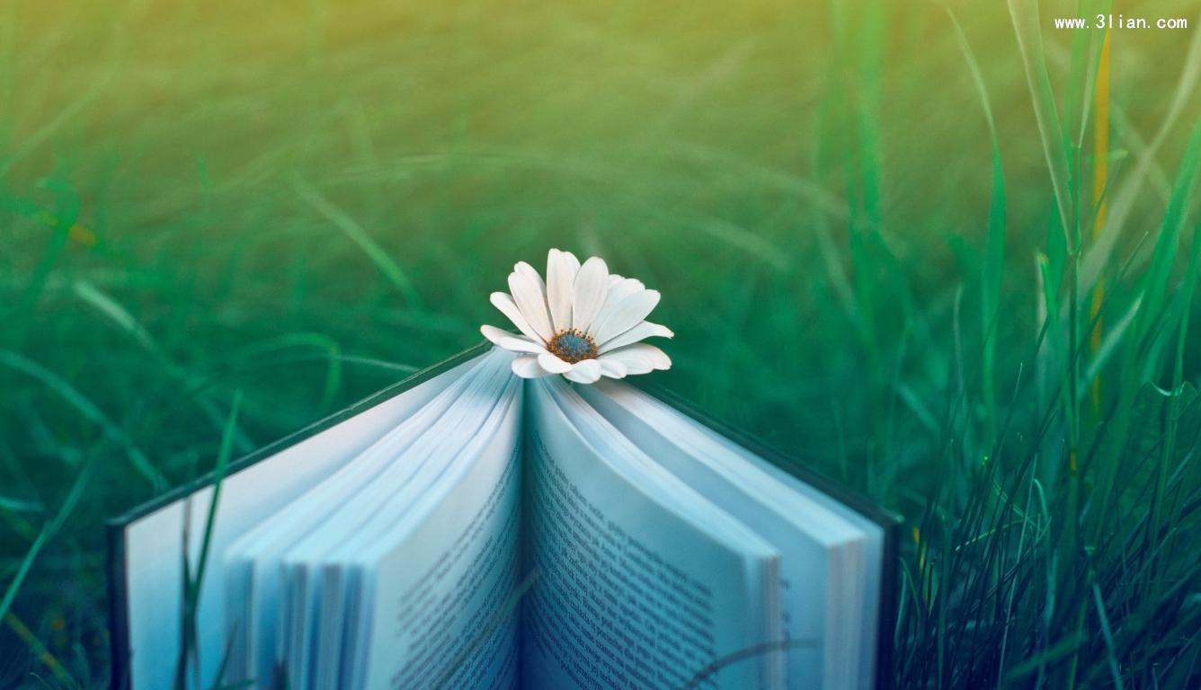 Уܱ˵ǿ籩 ,,,, ɢ 170453f6vgv8ol9ga1z8z6